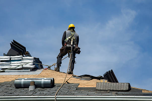 Professional Storm Damage Roof Repair technician working in Eustis, FL